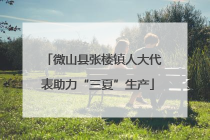 微山县张楼镇人大代表助力“三夏”生产