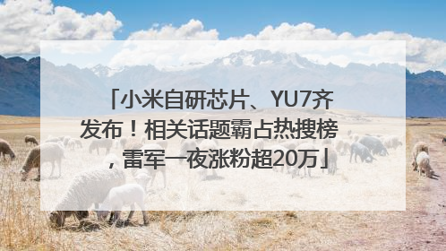 小米自研芯片、YU7齐发布！相关话题霸占热搜榜，雷军一夜涨粉超20万