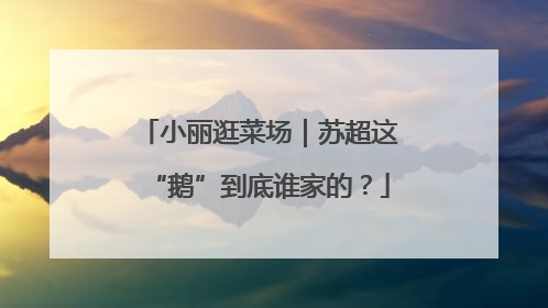 小丽逛菜场｜苏超这“鹅”到底谁家的？