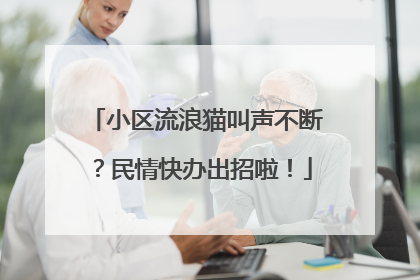 小区流浪猫叫声不断？民情快办出招啦！