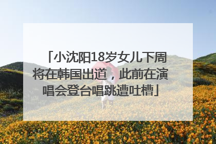 小沈阳18岁女儿下周将在韩国出道，此前在演唱会登台唱跳遭吐槽