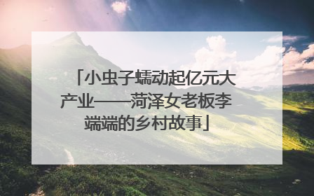 小虫子蠕动起亿元大产业——菏泽女老板李端端的乡村故事