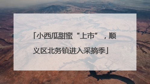 小西瓜甜蜜“上市”，顺义区北务镇进入采摘季