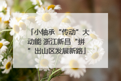 小轴承“传动”大动能 浙江新昌“拼”出山区发展新路
