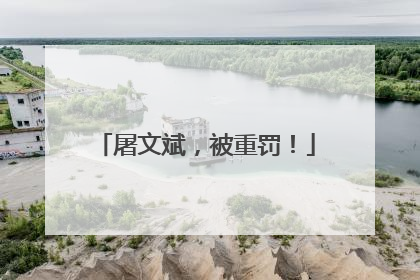 屠文斌，被重罚！