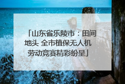 山东省乐陵市：田间地头 全市植保无人机劳动竞赛精彩纷呈
