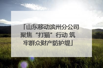 山东移动滨州分公司聚焦“打猫”行动 筑牢群众财产防护堤