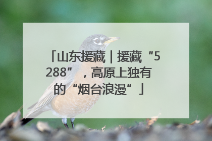 山东援藏｜援藏“5288”，高原上独有的“烟台浪漫”
