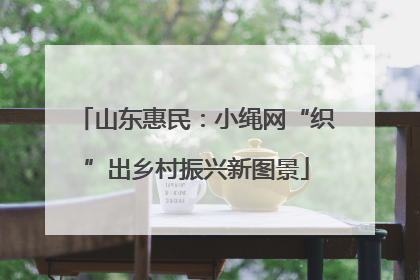 山东惠民：小绳网“织”出乡村振兴新图景