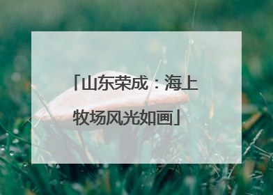 山东荣成：海上牧场风光如画