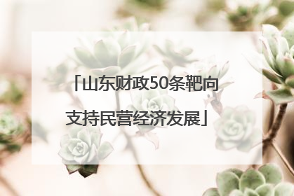 山东财政50条靶向支持民营经济发展