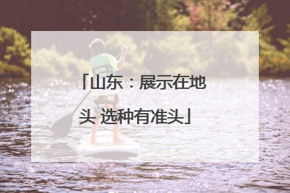 山东：展示在地头 选种有准头