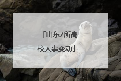 山东7所高校人事变动