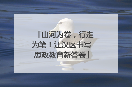 山河为卷，行走为笔！江汉区书写思政教育新答卷