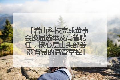 岩山科技完成董事会换届选举及高管聘任，核心层由头部券商背景的高管掌控