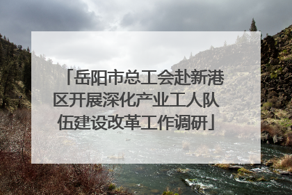 岳阳市总工会赴新港区开展深化产业工人队伍建设改革工作调研