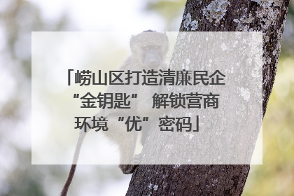 崂山区打造清廉民企“金钥匙” 解锁营商环境“优”密码