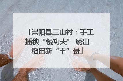 崇阳县三山村：手工插秧“慢功夫” 绣出稻田新“丰”景