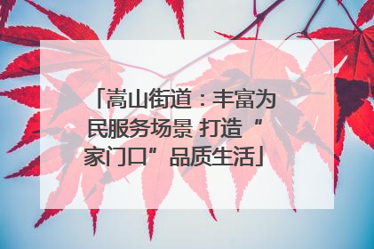 嵩山街道：丰富为民服务场景 打造“家门口”品质生活