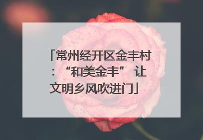 常州经开区金丰村：“和美金丰” 让文明乡风吹进门