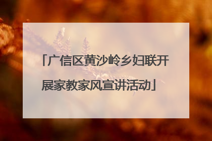 广信区黄沙岭乡妇联开展家教家风宣讲活动