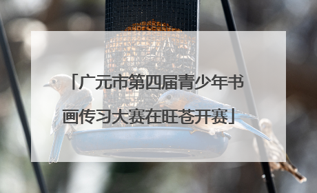 广元市第四届青少年书画传习大赛在旺苍开赛