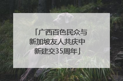 广西百色民众与新加坡友人共庆中新建交35周年