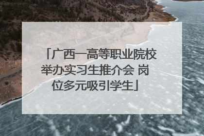 广西一高等职业院校举办实习生推介会 岗位多元吸引学生