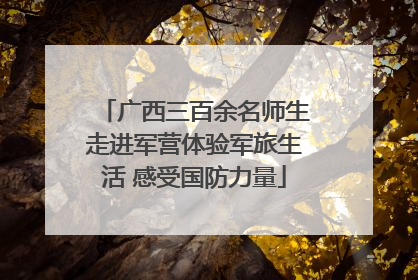 广西三百余名师生走进军营体验军旅生活 感受国防力量