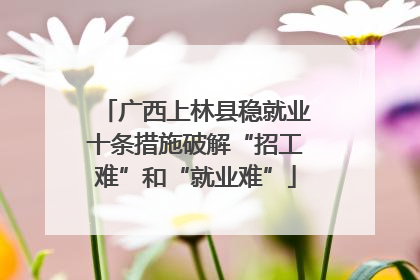 广西上林县稳就业十条措施破解“招工难”和“就业难”