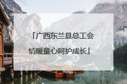 广西东兰县总工会情暖童心呵护成长