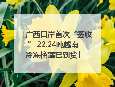 广西口岸首次“签收” 22.24吨越南冷冻榴莲已到货