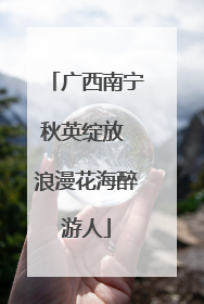 广西南宁秋英绽放 浪漫花海醉游人