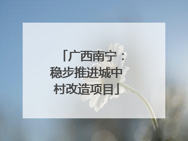 广西南宁：稳步推进城中村改造项目