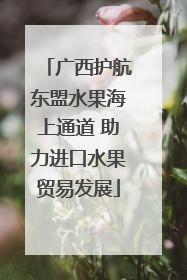 广西护航东盟水果海上通道 助力进口水果贸易发展