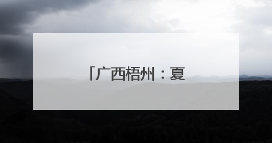 广西梧州：夏日赏荷正当时