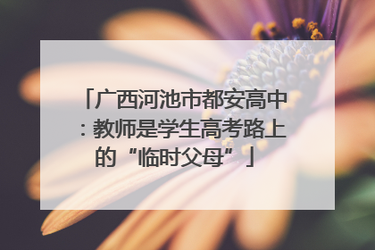 广西河池市都安高中：教师是学生高考路上的“临时父母”