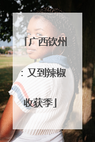 广西钦州：又到辣椒收获季