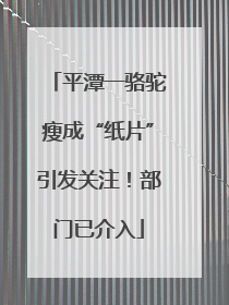 平潭一骆驼瘦成“纸片”引发关注！部门已介入