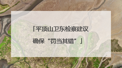 平顶山卫东检察建议确保“罚当其错”