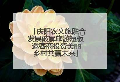 庆阳农文旅融合发展破解旅游短板 邀客商投资美丽乡村共赢未来