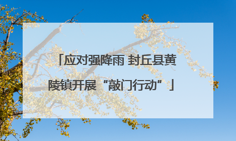 应对强降雨 封丘县黄陵镇开展“敲门行动”