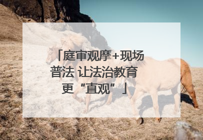 庭审观摩+现场普法 让法治教育更“直观”