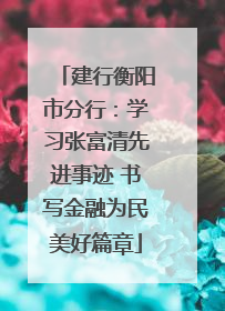 建行衡阳市分行：学习张富清先进事迹 书写金融为民美好篇章