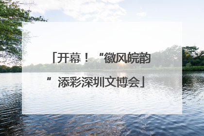 开幕！“徽风皖韵”添彩深圳文博会