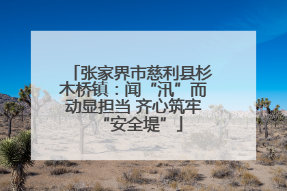 张家界市慈利县杉木桥镇：闻“汛”而动显担当 齐心筑牢“安全堤”