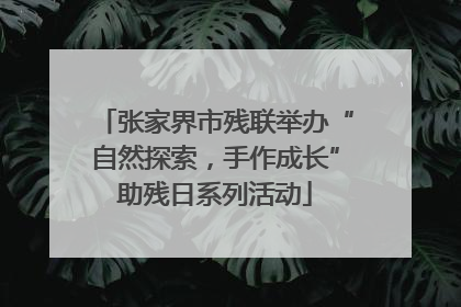 张家界市残联举办“自然探索，手作成长”助残日系列活动