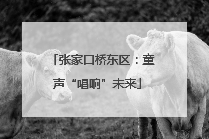 张家口桥东区：童声“唱响”未来