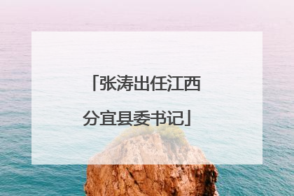 张涛出任江西分宜县委书记
