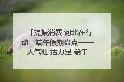 提振消费 河北在行动｜端午假期盘点——人气旺 活力足 端午经济“热浪”迭起